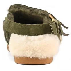 Winter Bio Belts