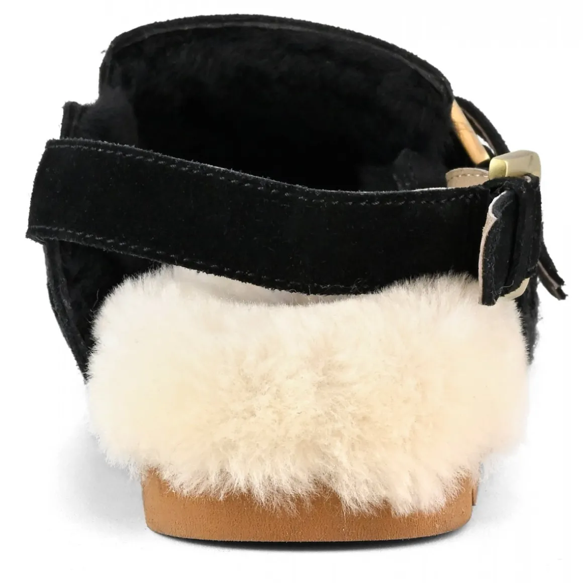 Winter Bio Belts