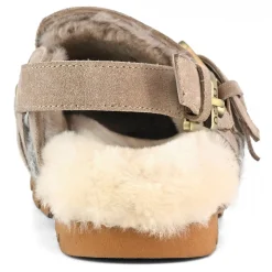 Winter Bio Belts