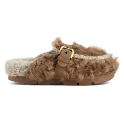 Winter Bio Checkiang Buckle